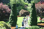 21 - Butchard Gardens  - IMG_1600